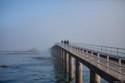 Jetée de Roscoff