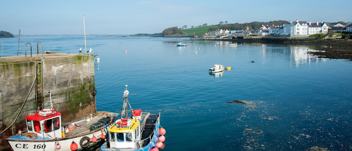 Strangford Lough