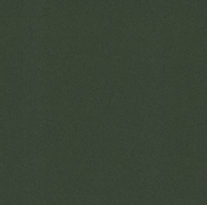Vert foncé