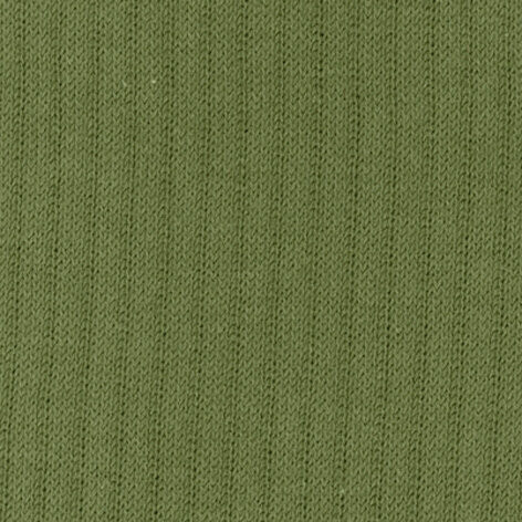 7684 - Cactus