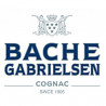Bache Gabrielsen