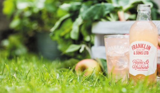 Franklin & Sons Apple rhubarb mocktail