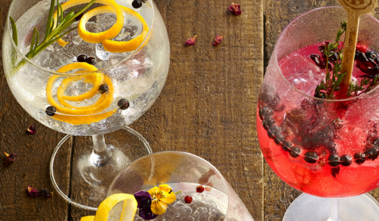 Raspberry and Strawberry Gin Coktail