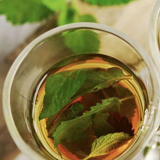 Make your own mint tea at home