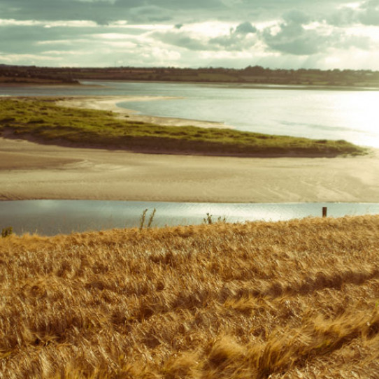 From terroir to whisky