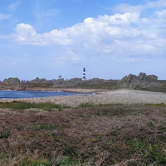 The International island book fair in Ouessant