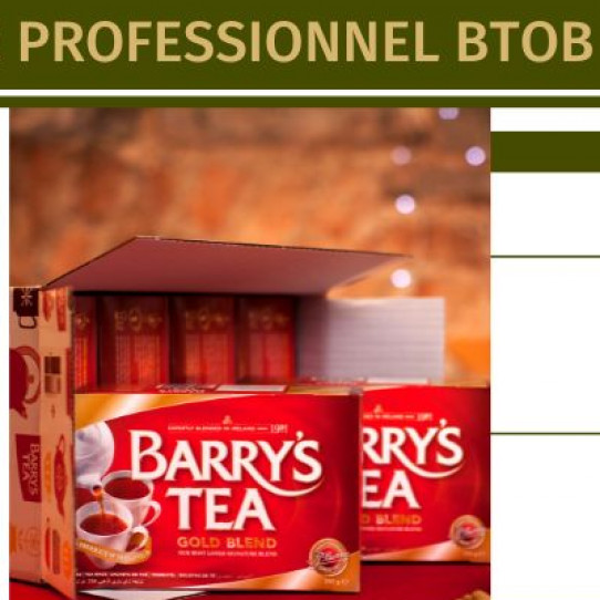 Le Comptoir Irlandais launches its website for professionals!