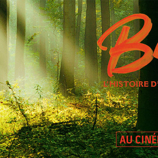 Gagnez vos places de cinéma