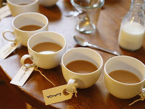 Back to Ireland: 3 surprising traditions to discover!
